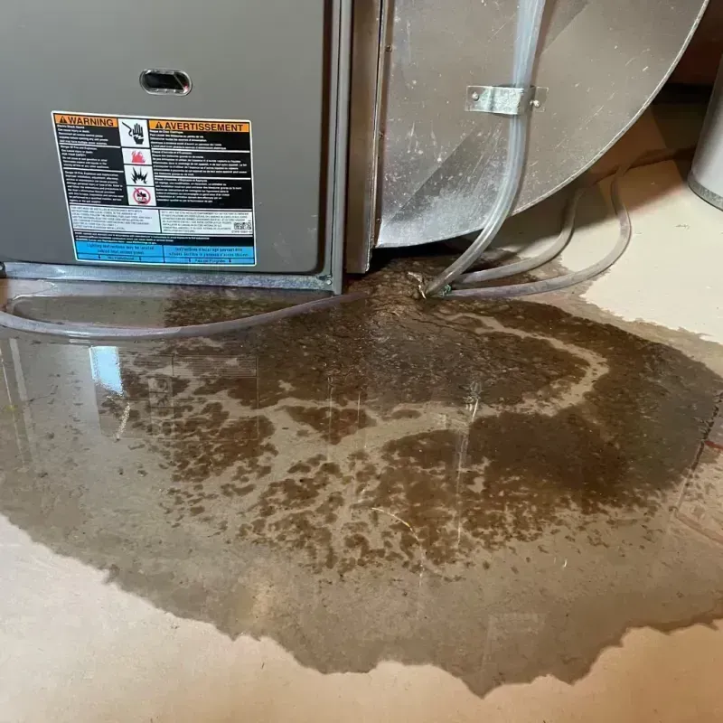 Appliance Leak Cleanup in Leetonia, OH